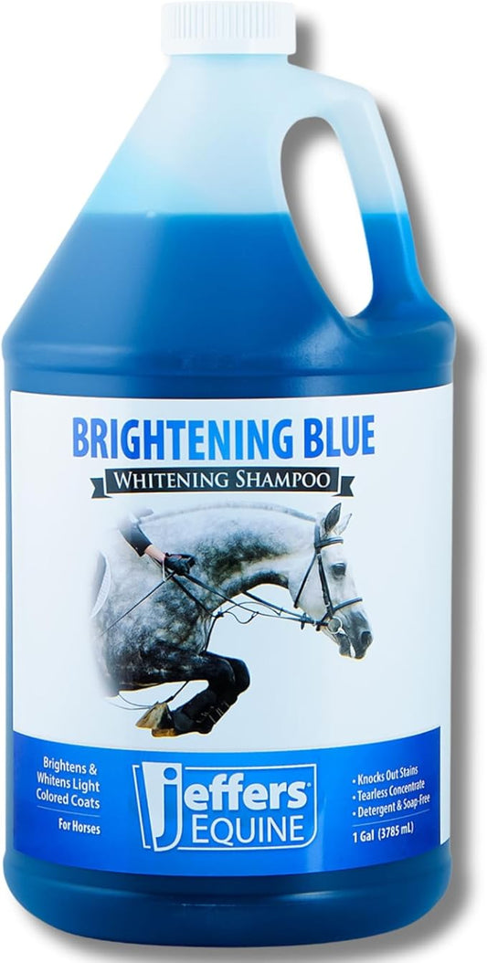 Jeffers Equine Brightening Blue Shampoo for Horses, 1 Gallon – Enhanced Whitening & Stain Remover, Coconut Oil, Aloe, Gentle Grooming, Detergent - Free, Enhances Coat Shine, Mane & Tail Care