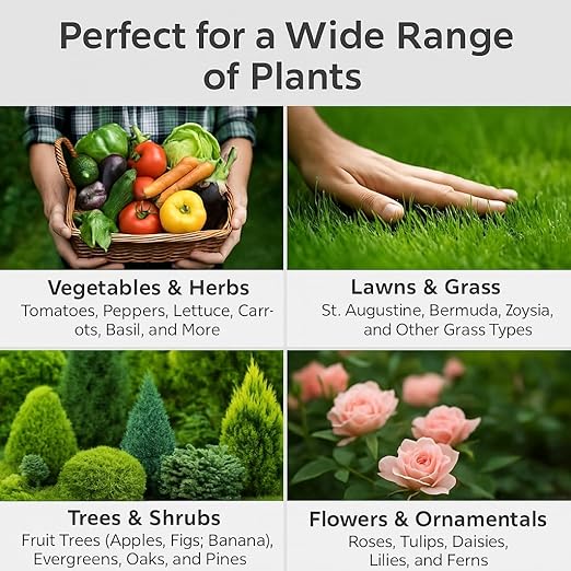 𝐏𝐑𝐄𝐌𝐈𝐔𝐌 All-Purpose 20-20-20 Liquid Fertlizer Spray - Increases Flowering and Yield on All Varieties of Fruits, Vegetables and Flowers| Liquid Plant Superfood Mist (32 OZ)