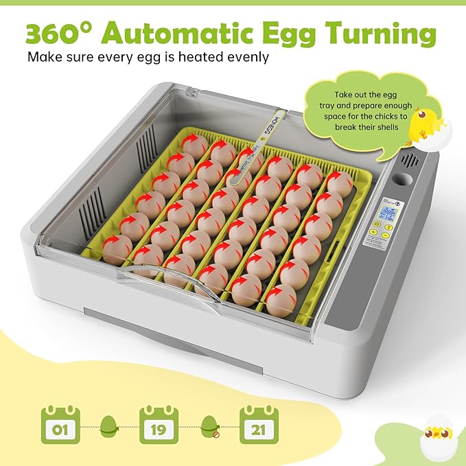 Egg Incubator for Hatching Chicks, 36 Eggs Automatic Turner with Temperature & Humidity Control, Multifunctional Ultra-Clear Panoramic View with Hatch Days & Egg Candler for Chicken, Duck, Goose, Bird