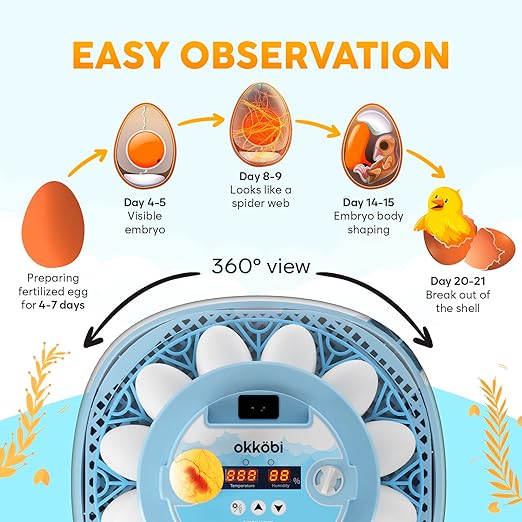 12 Egg Incubator with Automatic Egg Turning and Humidity Control – Egg Incubators for Hatching Eggs – Egg Candler, Water Bottle Refill, Air Vent, 360° View – Incubadora de Huevos de Gallina