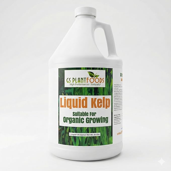 GS Plant Foods Liquid Kelp Fertilizer – Suitable for Organic Growing, OMRI Listed Seaweed Concentrate for Lawns, Gardens & Soil - 1 Gallon (Makes Up To 800+ Gallons)
