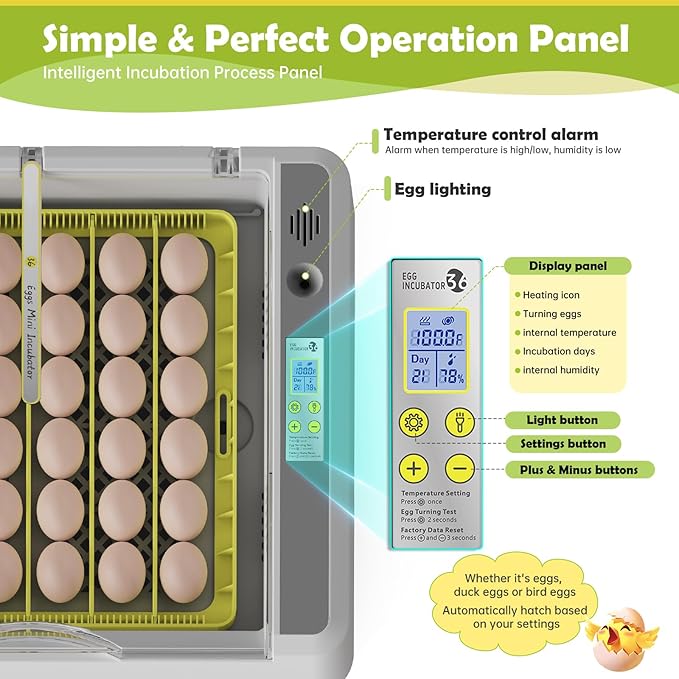 Egg Incubator for Hatching Chicks, 36 Eggs Automatic Turner with Temperature & Humidity Control, Multifunctional Ultra-Clear Panoramic View with Hatch Days & Egg Candler for Chicken, Duck, Goose, Bird