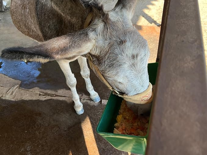 Large Feed Trough and Goat Feeder - 2 Pack Hanging Feeder with Clips, Waterer Bucket, Fence Feed Trough, Goat Supplies, 10 Quart