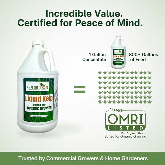 GS Plant Foods Liquid Kelp Fertilizer – Suitable for Organic Growing, OMRI Listed Seaweed Concentrate for Lawns, Gardens & Soil - 1 Gallon (Makes Up To 800+ Gallons)