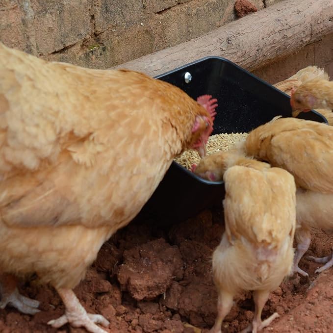 Hanging Chicken Feeder Trough for Goat Sheep Deer Poultry Duck Chicken Fence Feeder Livestock Feeding Container Goats Supplies Feeders Waterer Bucket