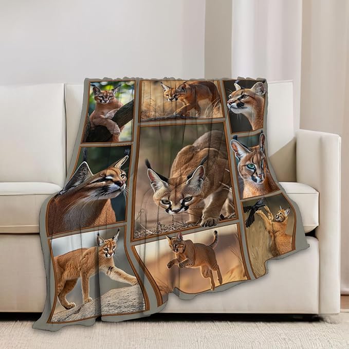 Caracal Blanket African Caracal Animal Lover Throw Blankets Gifts for Girls Boys Kids Soft Cozy Fleece Plush for Couch Sofa Bed 80"x60"