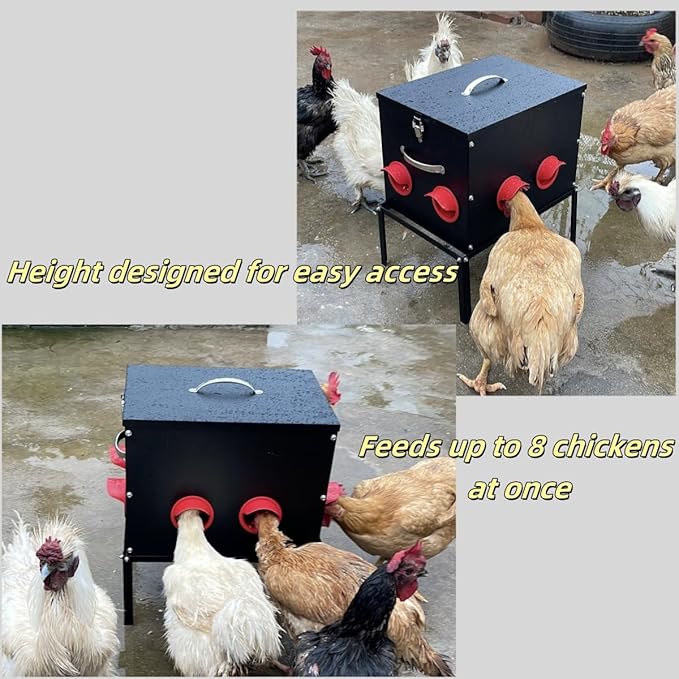 Automatic Chicken Feeder –45LB 8 Feeding Ports,Large Metal Chicken Feeders - No Waste Poultry Feeder with Locking Lid and Legs for Inside Coops