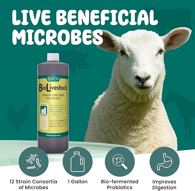 SCD Bio Livestock - Liquid Probiotic Feed & Water Additive, Organic Digestive Supplement for Cows, Pigs, Horses, Chickens, Ducks, Rabbits by SCD Probiotics