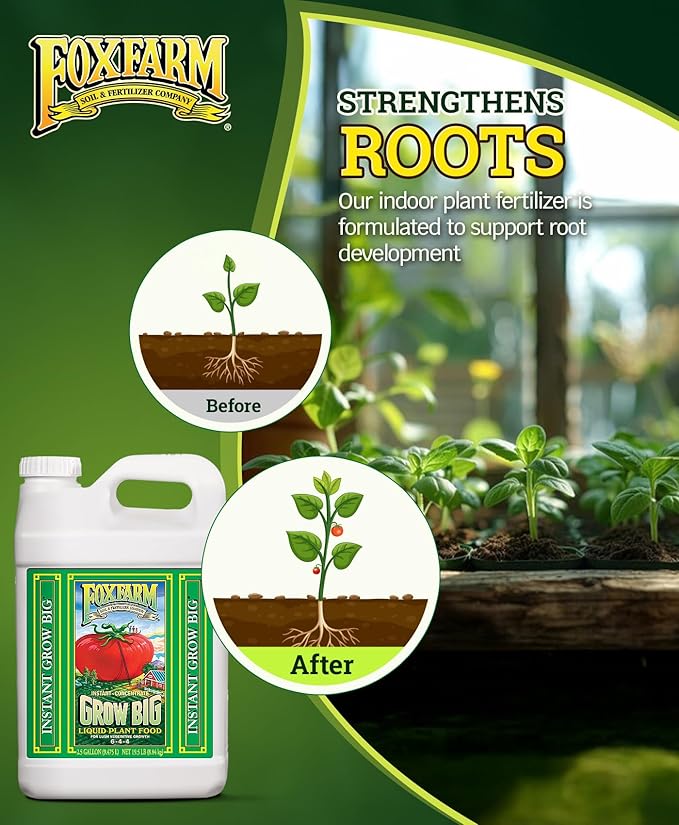 FoxFarm Grow Big Liquid Plant Food - Bloom Fertilizer for Flowers, Fruits, and Vegetables, Perfect for Indoor & Outdoor Potted Plants, NPK 6-4-4 (2.5 Gallons)