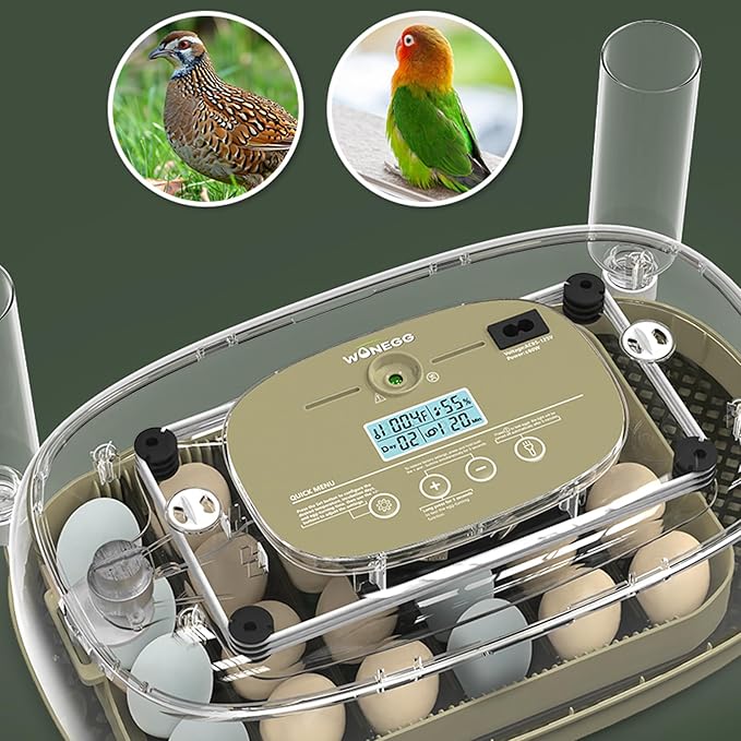 24 Egg Incubator for Hatching with Automatic Turner, Smart Temperature & Humidity Control, 360° Viewing, Egg Candler, Auto Water Refill, Ideal for Chicken, Duck, Farm or Home Use (24 Egg-Green)