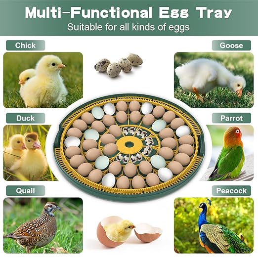 HOWOOlUA 52 Egg Incubator for Hatching Eggs with Auto Turn, Temp Control & Humidity Display, Built-in Candler Large Capacity Egg Incubator for Chicken Quail Duck Goose Eggs (52A-Green)
