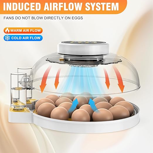 18 Egg Incubator with Humidity Display, Automatic Temperature Control and Egg Turner, Auto Water Replenishment for Hatching Chickens Quail Duck Goose (Yellow)