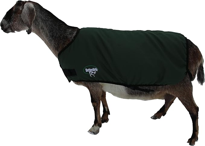 Calf Coat, Warming Blanket for Calves and Livestock, Quilted Cattle Jacket Thats Water Resistant and Protects Animals in Winter and Cold Weather - Green, XL