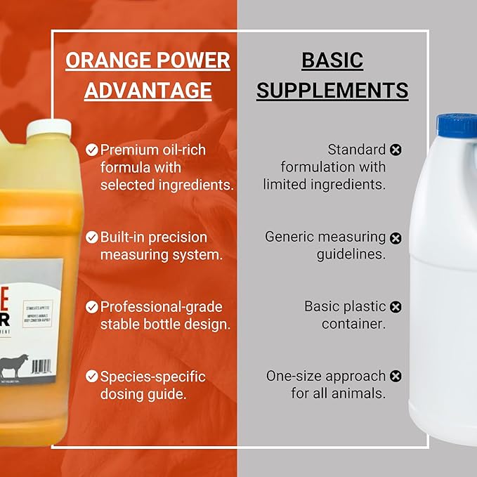 Orange Power Nutrient Supplement for Show Cattle, Sheep, Goats and Pigs - Appetite Stimulant & Performance Booster - Liquid Formula with B12 & Phosphorus (1 Gallon)