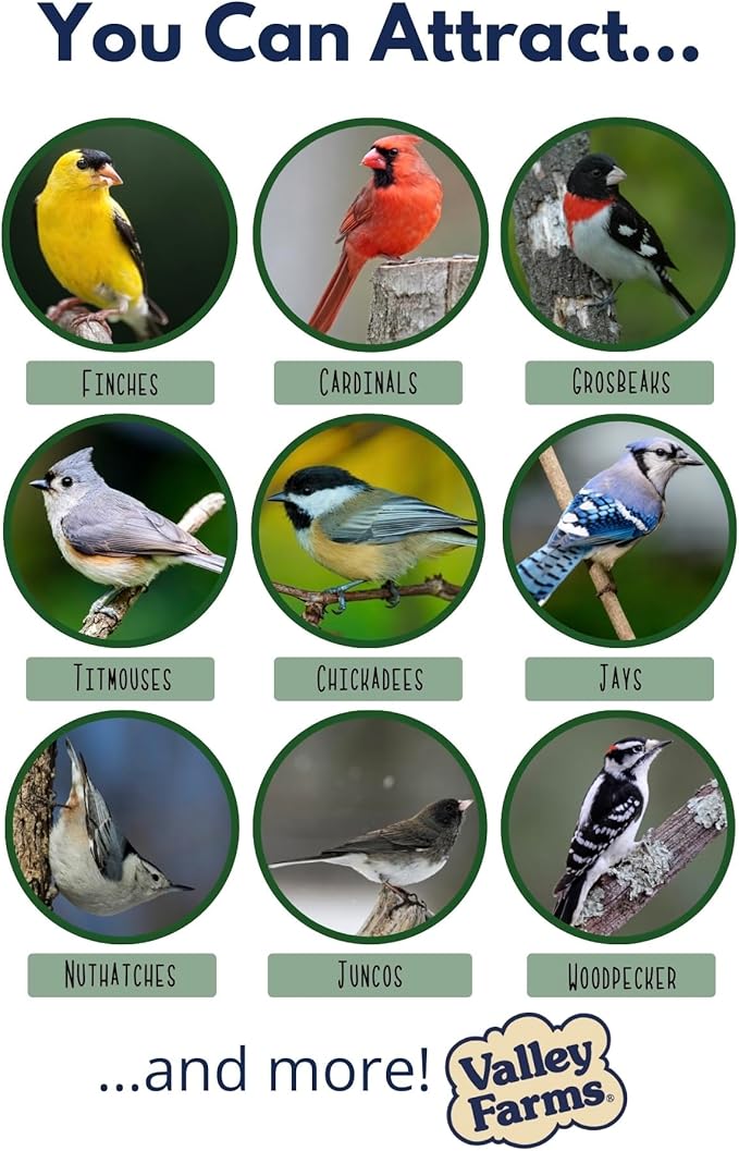 Valley Farms Super Deluxe Wild Bird Food (15 LB) for Outside feeders - 0% fillers - Loads of Sunflower Seed - w/Peanut kernels -Feed More Birds w/Less Seed