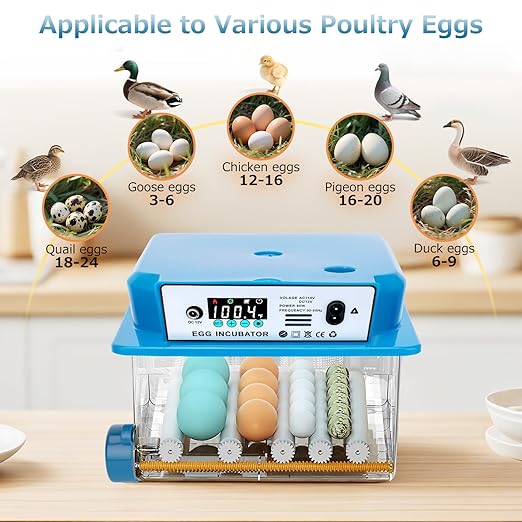 Automatic Egg Incubator 16 Egg Incubators for Hatching Eggs with Temperature Control Humidity Control and Display for Goose Chicken Duck Quail Pigeon Eggs Auto Turner, Blue