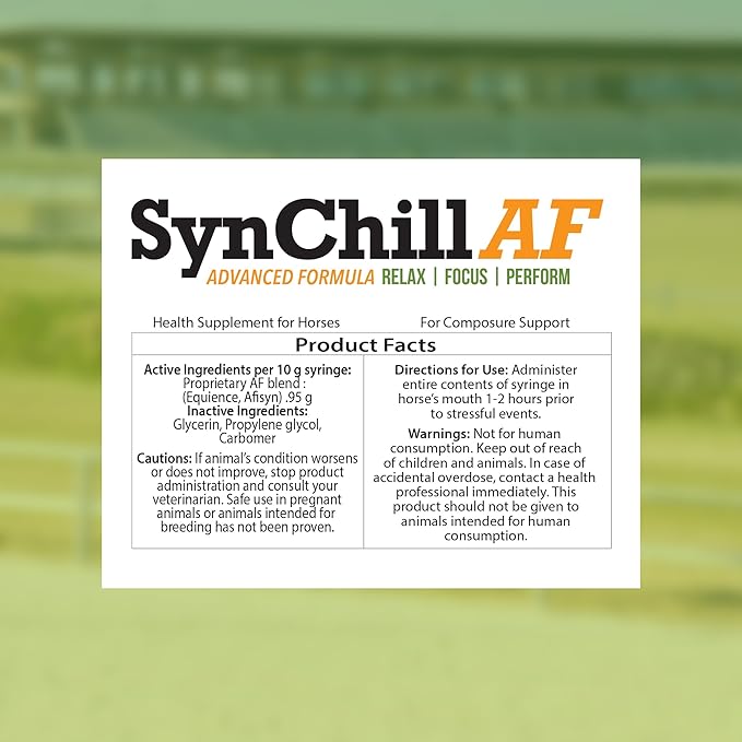SynChill AF Behavioral Support Gel for Horses – Single Serving – Advanced L-THEANINE-Free Formula, 100% Natural Supplement, Composure, Focus & Confidence Support for Horses - 5 Pack