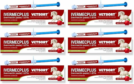 Horse Gel Paste 1.87% – 6 - Pack, 6.08g Each, Accurate Feeding for Horses up to 1,250 lbs, Boosts Growth & Energy