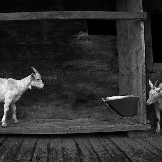 Hanging Fence Feeder for Chicken, Duck, Goat, Pig Poultry Feed Trough Chicken Feeder Bucket Feeding Container for Livestock (Black)