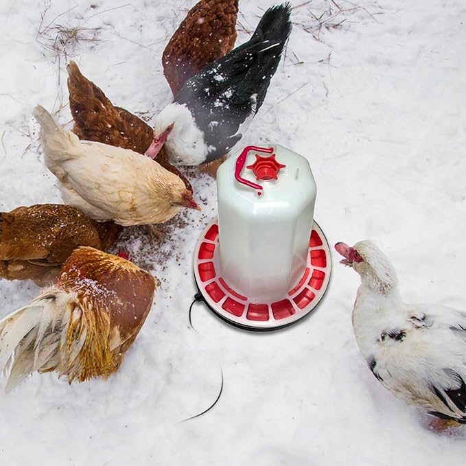 Chicken Water Heater for Winter – 12.6" 5 Gallons Heated Base with 77°F Auto Shut-Off, 80W Outdoor-Safe Poultry Water De-icer, 6-Foot Cord for Plastic/Metal Chicken Waterer