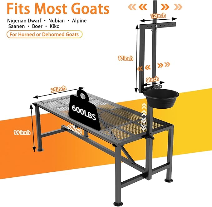 Upgrade Goat Milk Stand with Feed Bin, 600lbs Goat Stand for Grooming & Hoof Trimming, 1mm Thick Platform & Anti-Slip Design, Goat Grooming Stand with Firm Head Lock and Adjustable Head