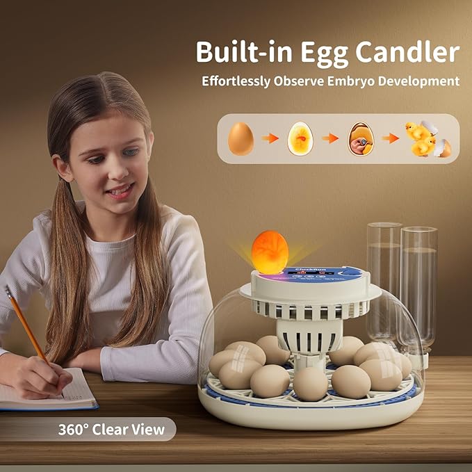 Egg Incubator, Temperature and Humidity Display, Automatic Egg Turning, Egg Candler, Incubators for Hatching Eggs, Auto External Water Bottle Refill, 12 Egg Incubator for Chicken Quail Duck Bird