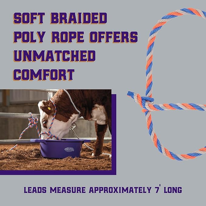 Weaver Livestock Braided Poly Rope Cattle Halter, Adjustable, Modern Style Cow Calf Halter, Livestock Handling Equipment for Showing, Blue/Coral/Gray