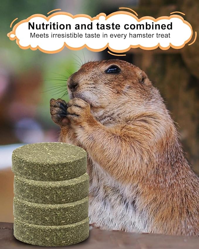 28PCS Round Hay Cake Chew Treats for Small Animals – Molar Snacks for Hamsters, Guinea Pigs, Chinchillas, Rats, Rabbits – Natural Enrichment Chew Toys