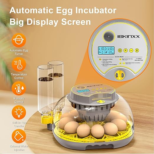 Incubator for Hatching Eggs-12 Egg Capacity, Automatic Egg Turner, Temperature & Humidity Control, 360° Viewing for Chicken, Duck and Quail Eggs