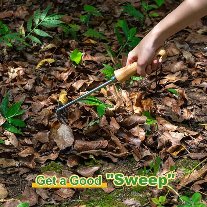 Berry&Bird Premium Hand Rake for Gardening, 5 Tines Hand Tiller Hand Cultivator Small Rake Garden Tool with Wood Handle, Ideal Garden Hand Tools for Digging, Aerating, Weeding and Loosening Soil