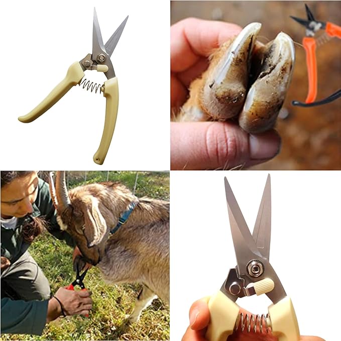 Farrier Tools,8 inch Farrier Tool Kits （6 Piece） Goat Hoof Trimmers Mini Rasp Hoof File Goat Pig Equine Metal Shears Professional Farriers Hoof Nipper Cutter Handle Knife Goat Supplies