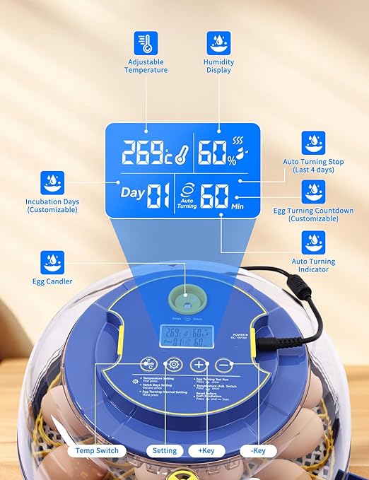 18-Egg 360° Panoramic Egg Incubator with Automatic Egg Turning and Humidity Control- Perfect for Hatching Chickens, Ducks, Quail & Other Birds (Blue)