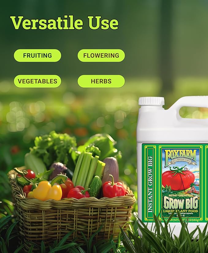 FoxFarm Grow Big Liquid Plant Food - Bloom Fertilizer for Flowers, Fruits, and Vegetables, Perfect for Indoor & Outdoor Potted Plants, NPK 6-4-4 (2.5 Gallons)