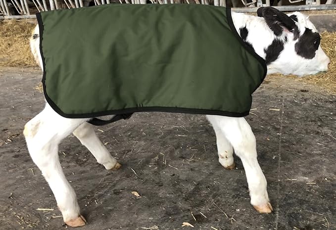 Calf Coat, Warming Blanket for Calves and Livestock, Quilted Cattle Jacket Thats Water Resistant and Protects Animals in Winter and Cold Weather - Green, XL