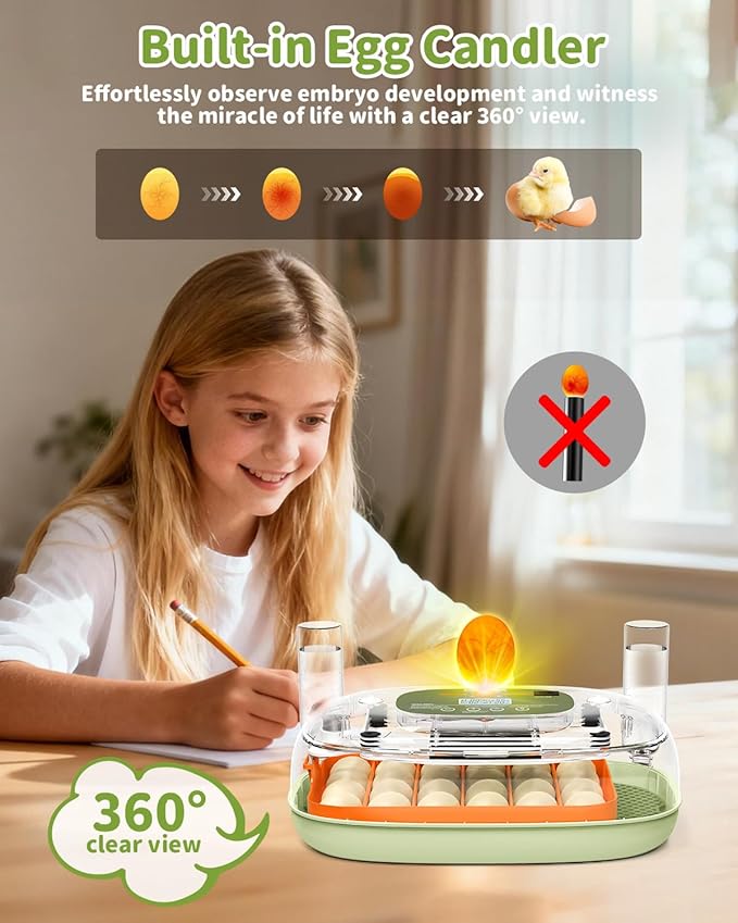 Egg Incubator for 24 Chicken Eggs with Automatic Turner, Digital Temperature Control & Humidity Display, Candler, Poultry Hatcher for Chicken, Duck, Quail, Birds (Green)