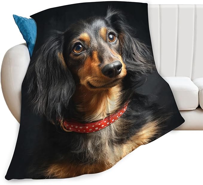 Long Haired Dachshund Blanket Dog Lovers Gifts Cozy Plush Weiner Dog Throw Blankets Fuzzy Flannel Fleece for Girls Boys Women Men 50"X40"