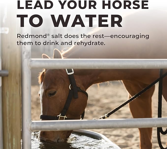 Daily RED Crushed - Mineral Supplement for Horses (5 LB Bag)