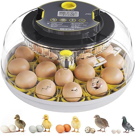 Incubator for Hatching Eggs-18 Egg Capacity, Automatic Egg Turner, Temperature & Humidity Control, 360° Viewing for Chicken, Duck and Quail Eggs