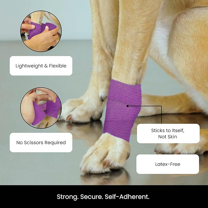 Juvale Self-Adherent Bandage Wrap - Grip Tape for Tattoo & Sport Tape - Vet Wrap & Wrist Support - 2 in x 5 yd, 24 Rolls, Multicolor