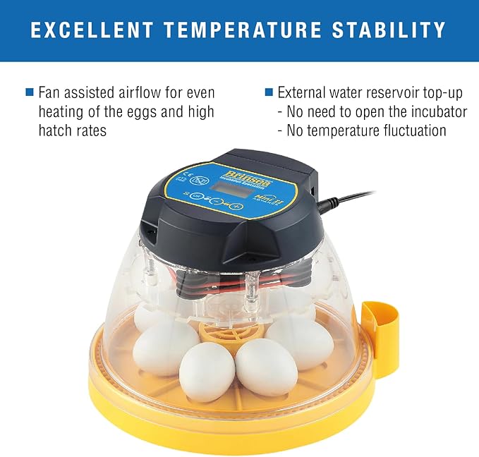 Brinsea Mini II Advance Egg Incubator with Automatic Egg Turning and Temperature Control for Hatching 7 Chicken, Duck, or Other Eggs, Ideal Incubator for Hobbyists, Teachers, and Learners