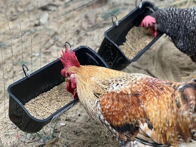 3 Pack Duck Chicken Poultry Hanging Fence Feeder | 8 Quarts in Total | Black｜A Free Feed Scoop Included