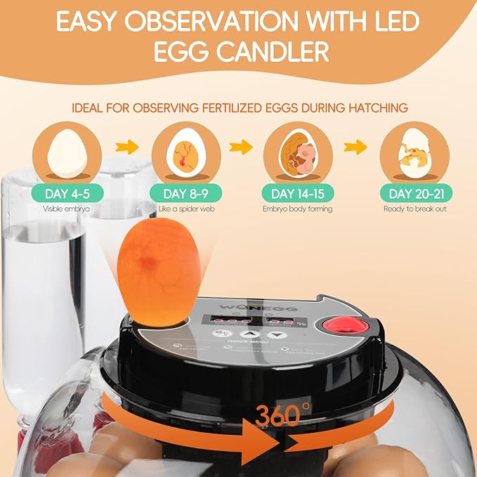 12 Egg Incubator with Automatic Turning, Humidity Control, LED Egg Candler, and Auto Water Addition, for Hatching Chicken, Goose, Duck, Quail, Pigeon (12 Egg Incubator Pro)