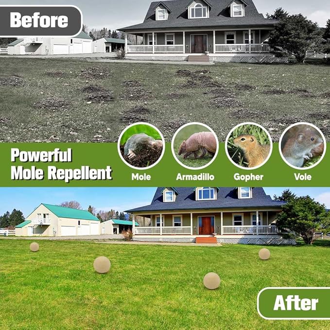 Mole Repellent for Lawns, Gopher Repellent Outdoor, Moles Control, Vole Repellant Groundhog Repellant for Your Lawn and Garden (1.5 Ounce (Pack of 8))