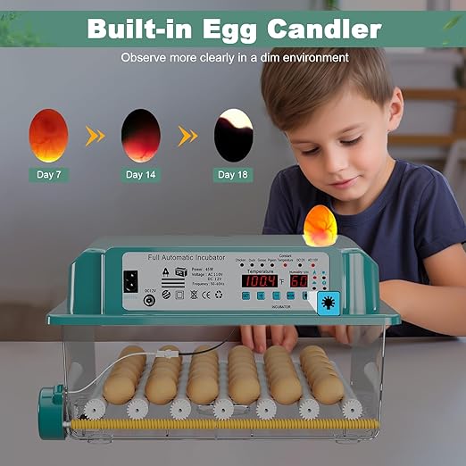 36 Eggs Incubators for Hatching eggs,Chicken Eggs Incubator with Automatic Egg Turning and Humidity Monitoring,Automatic Temperature Control Egg Incubator with Egg Candle for Chicken Duck Goose Pigeon