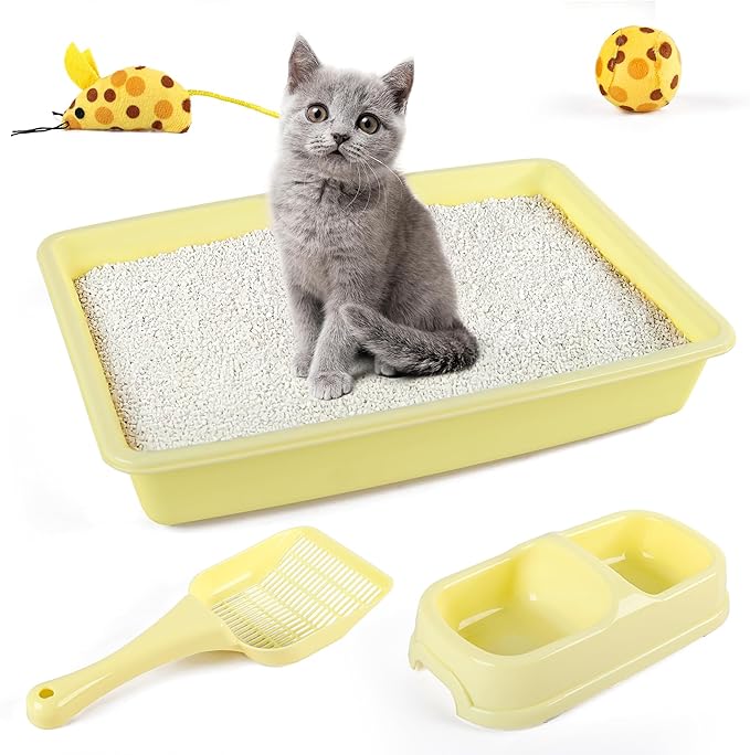 Pawise Cat Starter Kit Includes 4PCS Kitty Supplies, Great for Small Kitties, 14.5x10.5 Inch (Yellow)