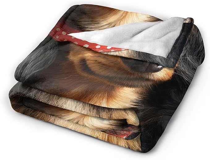 Dynova Long Haired Dachshund Blanket Dog Lovers Gifts Cozy Plush Beautiful Animal Throw Blankets Fuzzy Flannel Fleece for Girls Boys Women Men 80"X60"