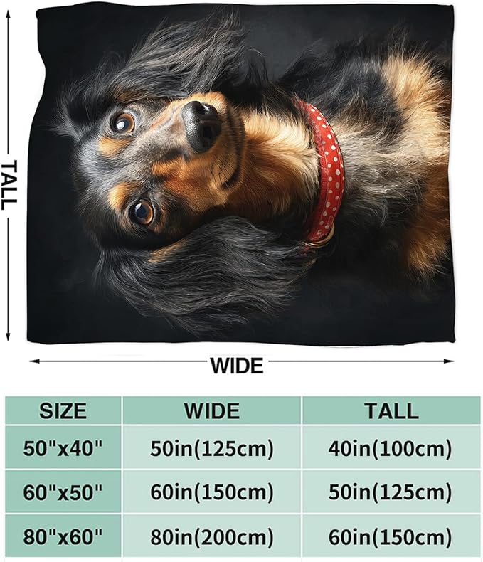 Dynova Long Haired Dachshund Blanket Dog Lovers Gifts Cozy Plush Beautiful Animal Throw Blankets Fuzzy Flannel Fleece for Girls Boys Women Men 60"X50"