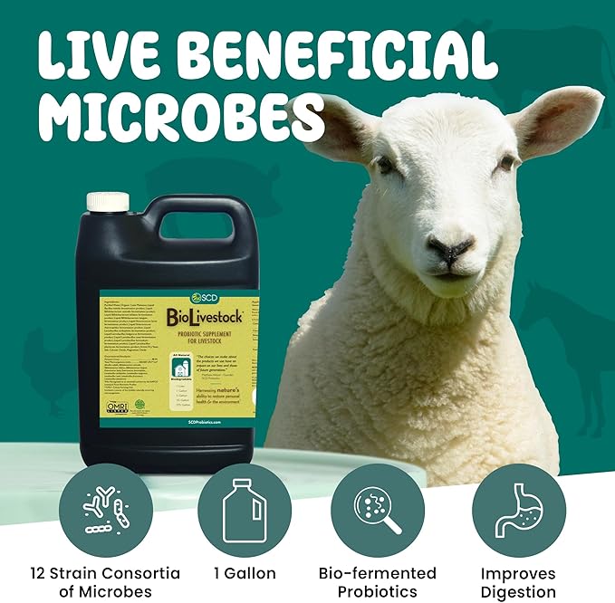 SCD Bio Livestock - Liquid Probiotic Feed & Water Additive, Organic Digestive Supplement for Cows, Pigs, Horses, Chickens, Ducks, Rabbits by SCD Probiotics - 1 Liter (4 Pack)