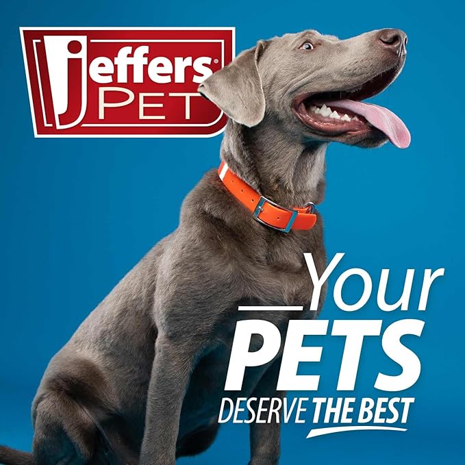 Jeffers Pet Vanilla Walnut Conditioning Shampoo for Dogs & Cats, 1 Gallon – Moisturizing, Soap Free Formula with Coconut & Vanilla Extract for Soft, Healthy Coat, Home Pet Care, Fresh Scent