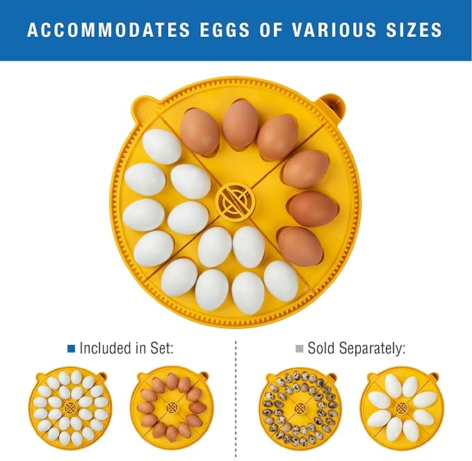Brinsea Maxi 24 Advance Egg Incubator with Automatic Egg Turning and Temperature Control for Hatching 24 Chicken, Duck, or Other Eggs,- Optimal Flexibility with Mix & Match Sizes